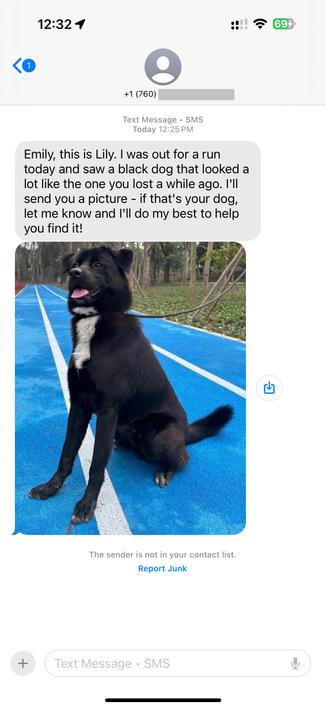 SMS text message sent to Emily from Lily about a lost black dog with a photo included