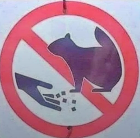 A sign that is supposed to be about feeding squirrels but it looks like a hand is rolling dice not feeding