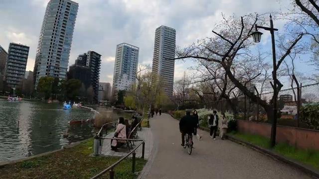 Cycling from Myogadani to Ueno Pt.9 | Tokyo Bike Rides | Japan 4K | VXT TRAVEL
