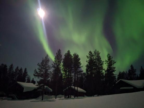 Noorderlicht boven bomen en huizen
