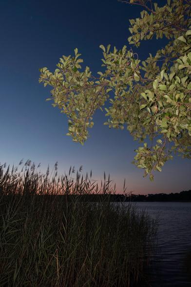 Paysage nocturne auprès d'un lac en Gironde