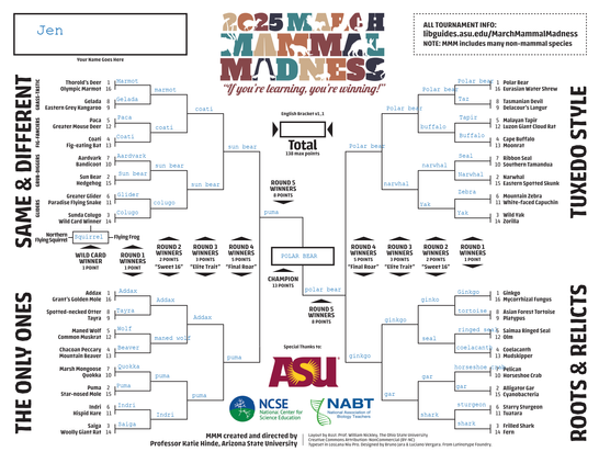 A March Mammal Madness 2025 bracket. Of the 65 competitors in 4 categories (Same & Different, The Only Ones, Tuxedo Style, and Roots & Relicts) the ones predicted to meet in the final round are the Polar Bear vs the Puma -- with Polar Bear selected as the likely winner.