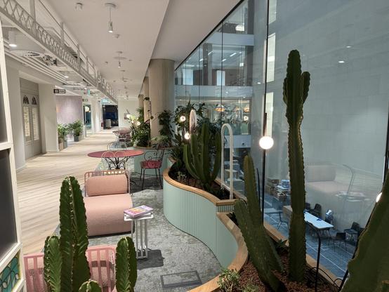 A modern, stylish indoor space featuring soft seating, decorative tables, and various plants, including tall cacti. The area has bright lighting, wooden flooring, and glass walls that enhance the open atmosphere.