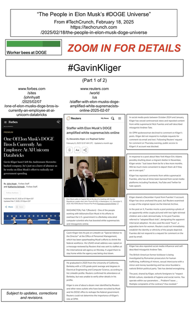 Screenshots of two news articles pertaining to Gavin Kliger (a worker bee for Elon Musk and DOGE).