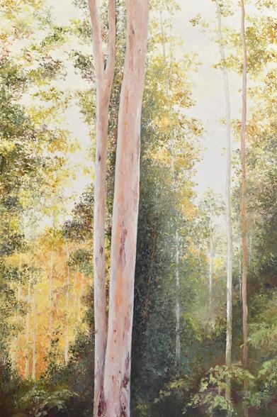 A vertical oil painting of an Australian gum tree forest. It is nearing the end of the day and golden sunlight shines through the stand of gum trees.