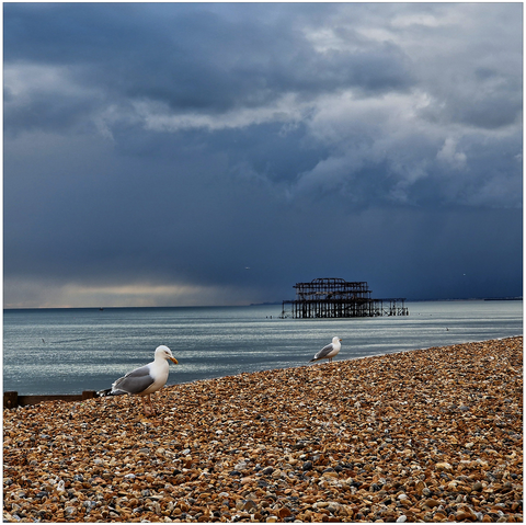 Beach and sea with two seagulls in the foreground and the derelict east pier of Brighton in the background, with dark clouds in the sky.