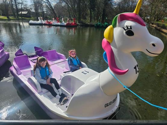 Singleton Park boating lake's unicorn pedalo