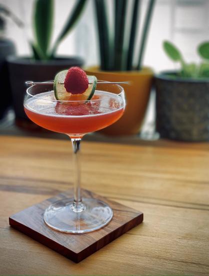 red cocktail with lime wheel and raspberry garnish in the center of a coupe glass, sitting on an olive wood coaster and beechwood table with potted plants in the background