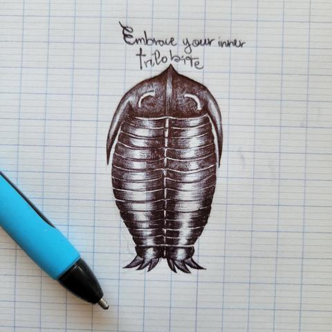 Dessin au stylo bille noir sur un cahier à grand carreaux représentant un trilobite