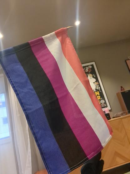 Picture of the Gender-fluid flag!

The backdrop features some wall art, and a wooden structure.