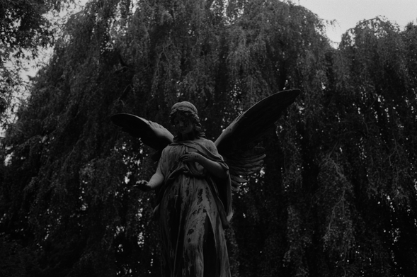 Quite dark black and white film photo of a statue of an angel making a gesture of blessing, lush weeping beeches in the background