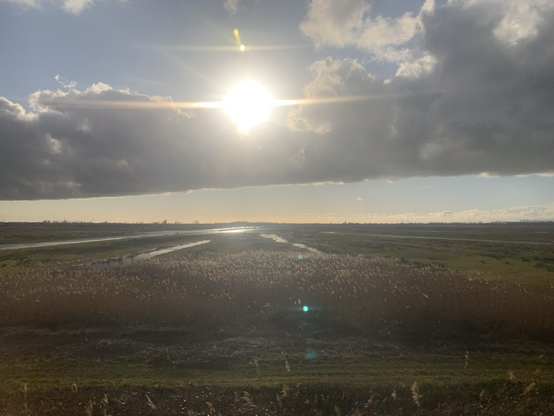 polderlandschap
