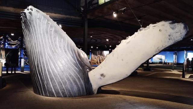 Sculpture of an humbpack whale