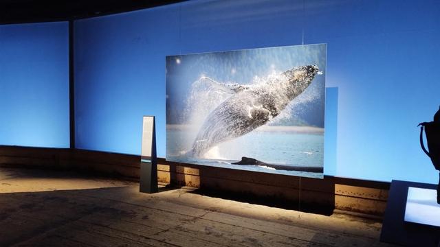 Photo of a whale jumping out of the sea