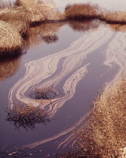 1970s photo of an oil spill in the Bay