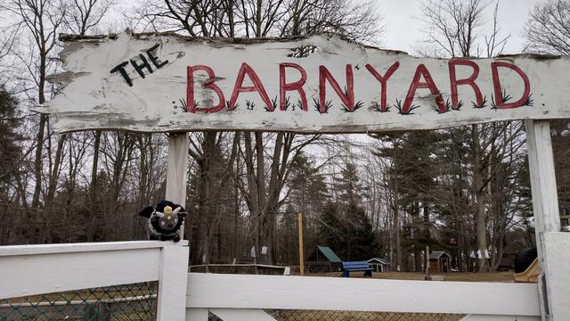 A larger plush goat standing on top of a white fence, beneath a sign that reads, "The Banyard". In the background are bare trees and a few pines.