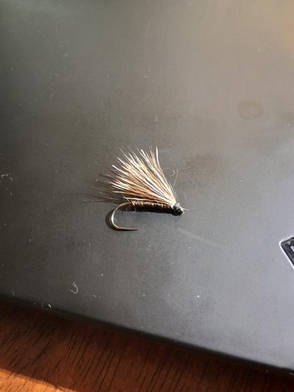 A fly fishing lure on a black backgroundn. The fly has a body of dark yarn with cold colored wire in sparse wraps. The wing of the fly is made from deer hair.