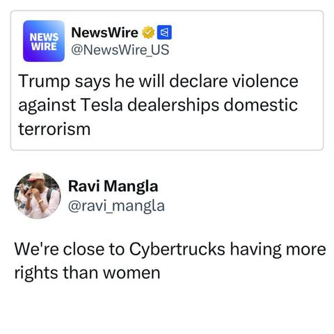 The remaining text is: domestic terrorism.

This is a garden path sentence. It leads you into one meaning, and you end up with a few words left over when you think the sentence is done.

He's declaring it domestic terrorism. But the sentence first leads you to believe Trump will be doing the violence against Tesla.