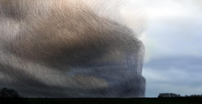 Murmurations by Dr. Kathy Cooper