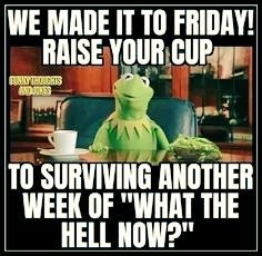 Kermit the frog behind a desk a coffee cup in front of him.
Top text:
We made it to Friday!
Raise your cup

Bottom text:
to surviving another
week of "what the
hell now?"
