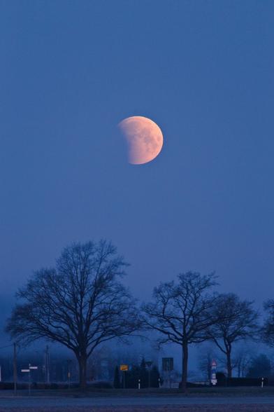 Der teilweise verfinsterte Mond über Bäumen.