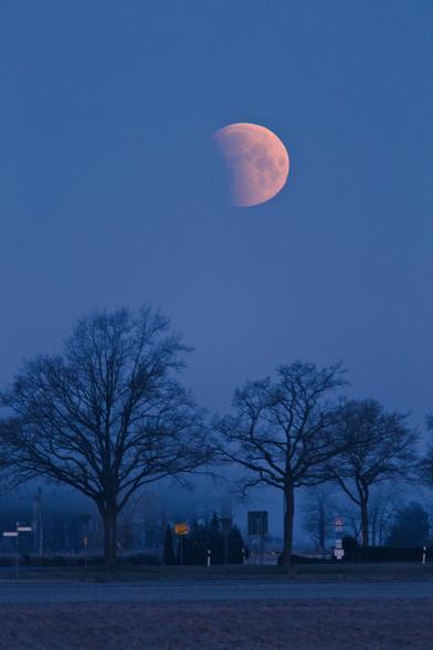 Der teilweise verfinsterte Mond über Bäumen.