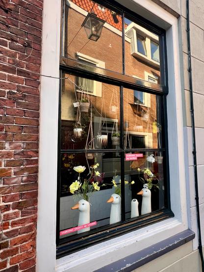 Flowershop window with vases shaped as geese