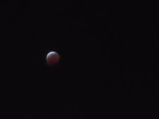 Photo of the full moon bearing totality during the eclipse
