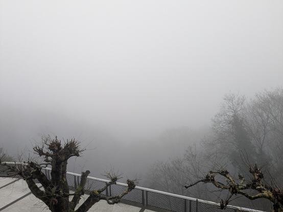 Look onto Heidelberg from above in the mist.