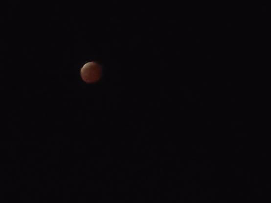 Close up of the lunar eclipse