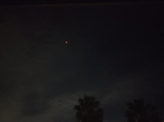 Distance shot showing a view of the moon over some trees