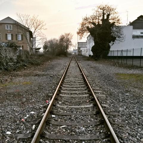 stillgelegte Bahngleise erstrecken sich zum Horizont, vorbei an einem alten, überwucherten Baum, quer durch alte Industriegebäude.