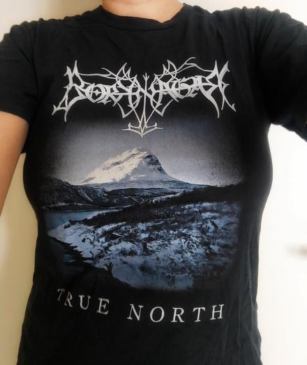 Foto: mein Torso mit Borknagar Bandshirt "True North"