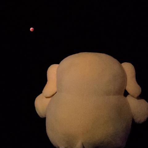 Photo of the Creature Mastodon stuffed toy in front of the lunar eclipse during the middle of the night. The Creature's back is to the camera as it faces the blood moon.