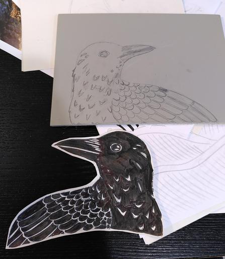 Cut out design of the bust of a crow on paper . There is also a plate for linocut with the design copied onto it with pencil.