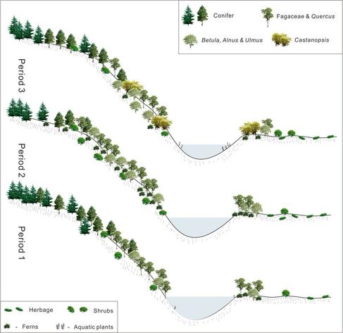 Xie et al. use #palynological data to uncover insights into #vegetation succession in the central Qinghai-Tibet Plateau during the Late Oligocene and Early Miocene!
https://doi.org/10.1111/jse.13168 
@WileyEcolEvol
 #ecology #PlantSci
