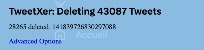 Capture d'écran du script TweetXer en train de supprimer mes tweets. Il affiche : "Deleting 43087 Tweets, 28265 deleted."