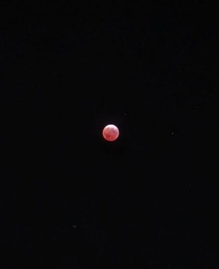 Photo of the Total Lunar Eclipse taken just before the Moon passed fully into the Earth's shadow at 2:24am, March 14, 2025.