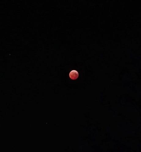 Photo of the Maximum Total Lunar Eclipse midway through the Earth's shadow at 2:58am, March 14, 2025.