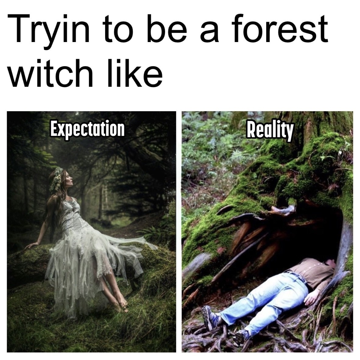 A witchy meme in two panels. The text says: “Tryin to be a forest witch like”. The left panel shows the text “Expectation” and a glamorous sylphlike femme creature in a gauzy white dress and flower crown, gently reclined on a mossy log in a forest. Her skin is dewy and her hair falls in the effortless waves that can only be achieved by a lot of effort or profoundly unfair genetics. Maybe she’s born with it, maybe it’s Silvan Queen. The right panel shows the text “Reality” and a photo of what appears to be a middle aged fella in belted light blue jeans, a tucked in button down shirt, and trainers, lying flat on his back in the opening of a moss covered large tree trunk and appearing vaguely corps-y in a way that only someone who is both enthusiastic about what they’re looking at but also utterly done with everything can look.