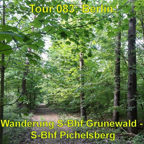 Waldweg, der sich durch einen dichten Laubwald schlängelt. Das frische Grün der Blätter ist dominierend, und die Baumstämme stehen eng beieinander. Es ist ein sonniger Tag. Licht bricht durch die Blätter und erhellt den Pfad. Der Weg führt geradeaus und verschwindet in der Ferne zwischen den Bäumen. Die Umgebung wirkt ruhig und bietet ein natürliches Umfeld für eine Wanderung. Es gibt keine sichtbaren Anzeichen von Menschen oder menschlichen Eingriffen in dieser natürlichen Szene.