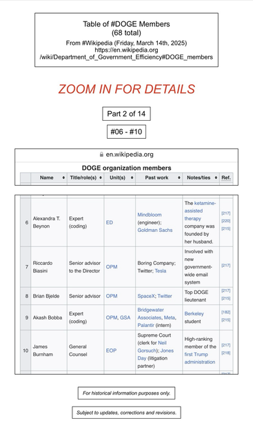 Screenshot of table of DOGE members (numbers six through ten, of sixty-eight) (from Wikipedia).