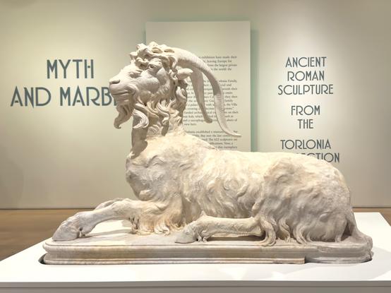 "Statue of a Resting Goat"--Magnificent marble sculpture of a goat with impressive curved horns and luxuriously textured fleece. The most striking part of the statues is the dramatic head, a 17th century restoration attributed to Gian Lorenzo Bernini. The sculptors has achieved an extraordinary feat in rendering the animal's thick, curling coat with such tactile realism that one can almost feel the woolly texture. The creature's powerful form rests in a dignified recumbent position, its muscular body suggesting both strength and grace. The dramatic sweep of its magnificent horns creates a striking silhouette against the exhibition wall, which reveals the title "MYTH AND MARBLE" alongside text identifying this as part of the Torlonia Collection of Ancient Roman Sculpture. The pristine white marble captures light beautifully, highlighting the intricate details of the beast's face and the sumptuous texture of its carved fleece.