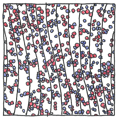 Drawing of wavy lines among many red and purple dots