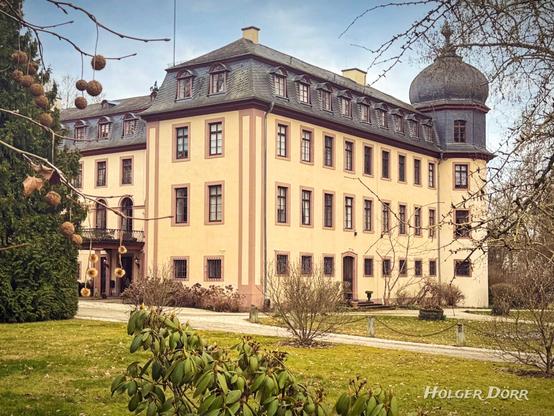 Das Schloss Lich im März 2025, eingebettet in die ersten Anzeichen des Frühlings. Die historische Fassade des Schlosses mit seinen markanten Türmen strahlt eine zeitlose Eleganz aus. Im Vordergrund rahmen zarte, frische Triebe und immergrüne Sträucher das Bild ein, während an kahlen Ästen die letzten Fruchtstände des Winters hängen.
Die sanften Farben des Schlossparks und das weiche Licht verleihen der Szene eine ruhige, fast nostalgische Atmosphäre - ein harmonisches Zusammenspiel von Architektur und Natur.