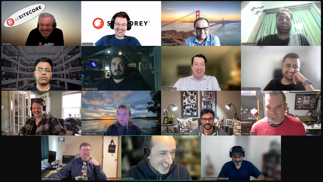 Screenshot of attendees on the March 14, 2025 #SitecoreLunch call.