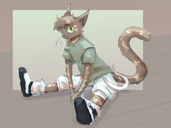 brown cat in fencing pants, socks and shoes sitting on the floor doing streches