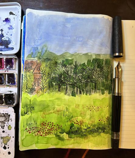 Sketch in sketchbook of an overgrown piece of land with a house which is also overtaken by greenery