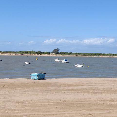 Fotografía de una barca azul varada en la arena. Detrás cuatro barcas amarradas en el río y al fondo árboles del Parque Nacional de Doñana