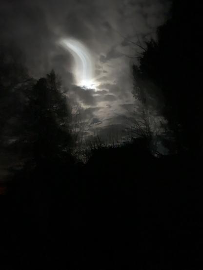 Cloudy sky, moon and dark trees